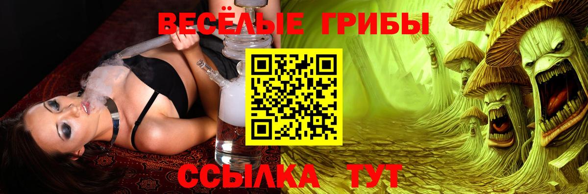 Псилоцибиновые грибы мицелий  Вход с VPN  Вязники 