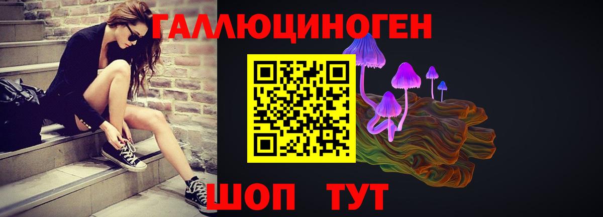 Галлюциногенные грибы Cubensis Вязники